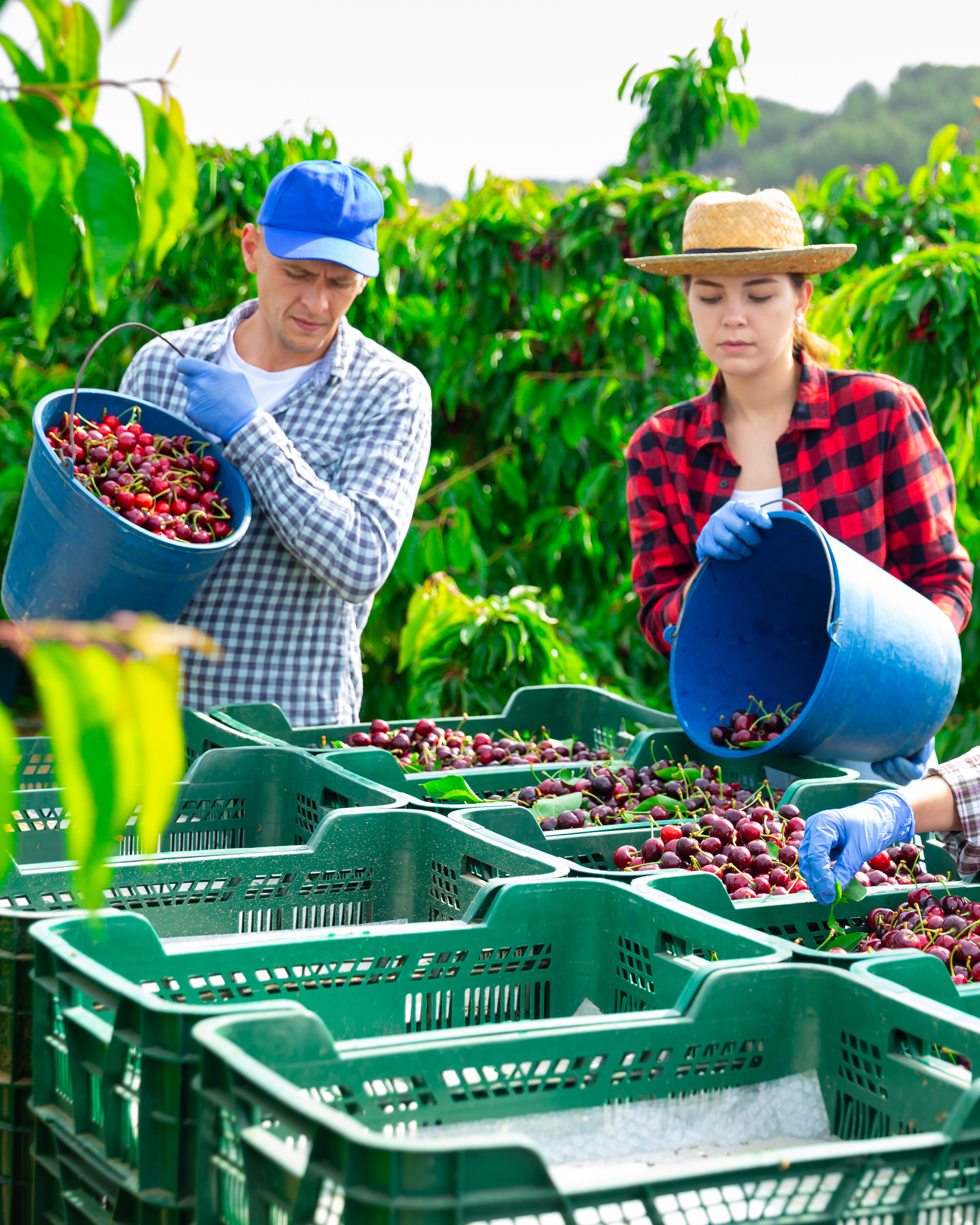 Reusable packaging supporting sustainability goals