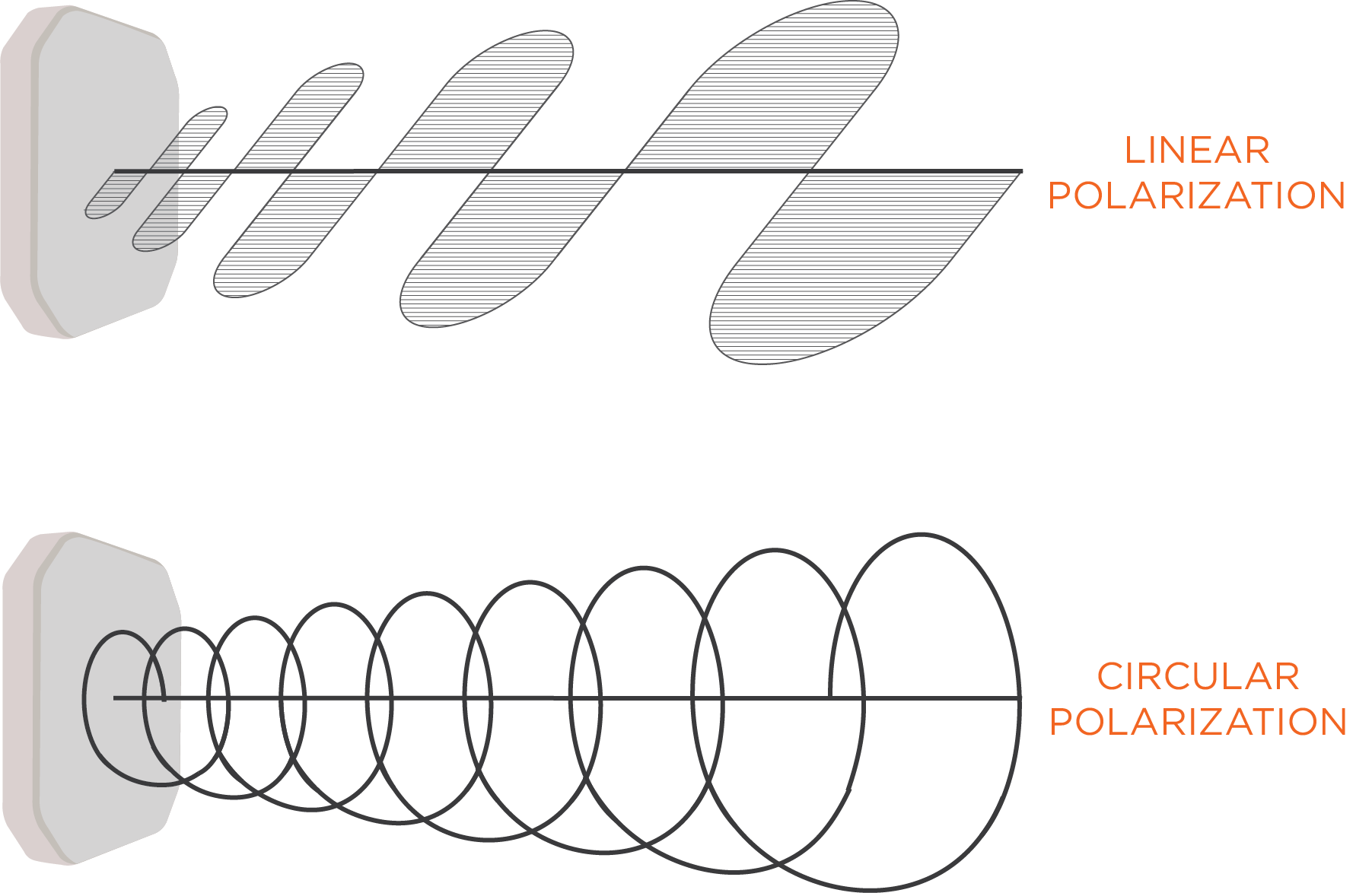 Linear Polarization vs. Circular Polarization